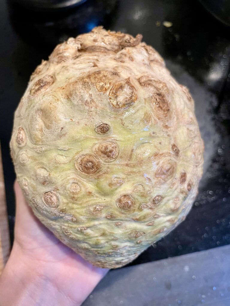 Preparing Celery Root - A hands-on step: Washing celery, trimming off any dirt, and cutting off the top to reveal the pristine white flesh inside, setting the stage for the perfect roasted celery root experience.