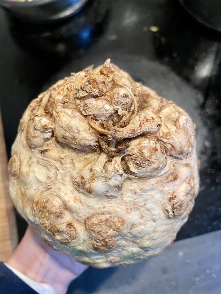 Trimming Celery Root - An up-close view of the knobby celery bulb, featuring bits that will be carefully cut off in the preparation process, ensuring a clean and pristine foundation for our Asian Star Anise Roasted Celery Root (Vegan) recipe.