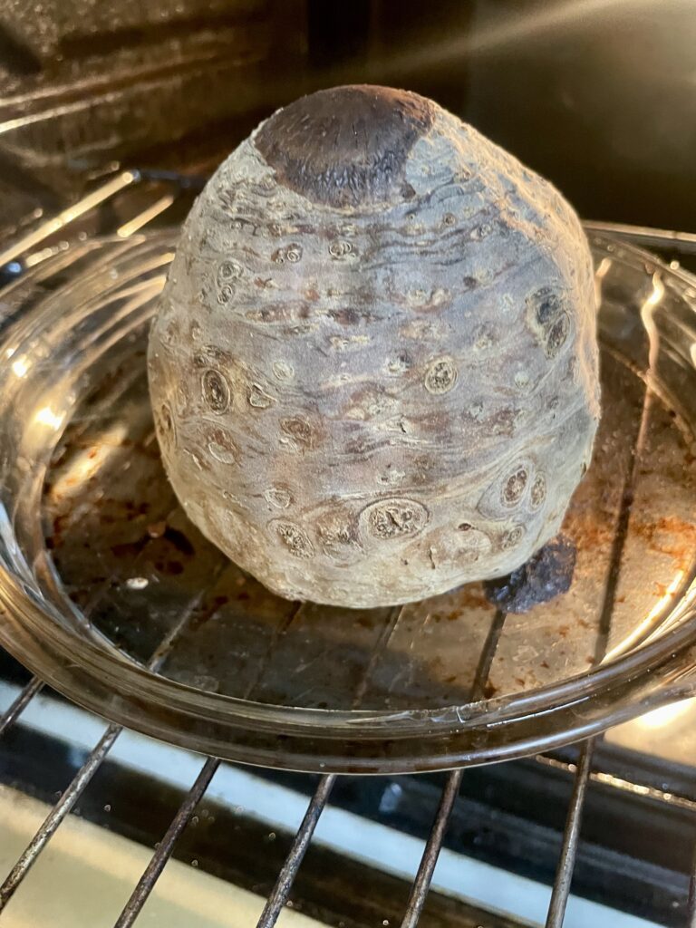 Perfectly Roasted Celery Root - The celery root emerges from the oven, beautifully browned on top, signaling it's ready for the next step in our Asian Star Anise Roasted Celery Root (Vegan) recipe.