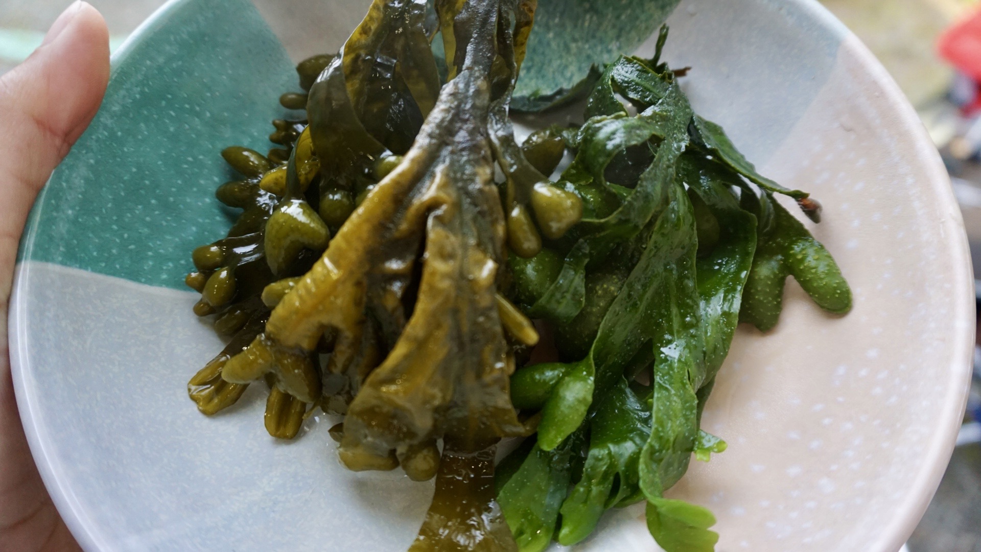 Comparison between cooked and uncooked bladderwrack algae. The cooked algae appears bright green with a slightly softened texture, contrasting with the uncooked algae's darker hue and firmer appearance.